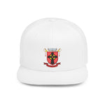 Black Robe Regiment hat
